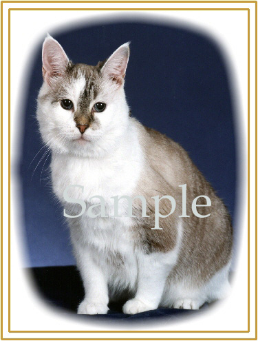 CATN05.jpg